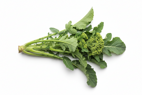 Cima di rapa